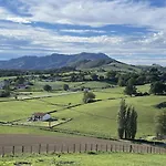 Mendiburia